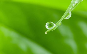 我用澳彩网做了3个月，竟然收获了意想不到的惊喜！