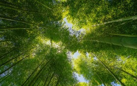 你是否也在寻找澳门金沙网址的最佳攻略？