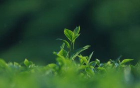 掌握干良家这几点，让你轻松打造独特的家庭氛围