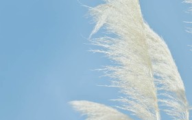 瑞丰国际备用网址背后的秘密，竟让人惊掉下巴！