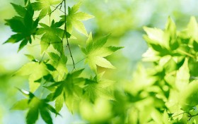 想要提高赢钱概率？588qp棋牌的秘密你知道多少？