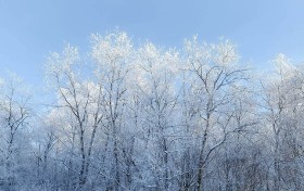揭开双色球走势图的神秘面纱，掌握选号技巧，助你轻松中大奖！